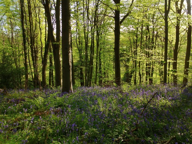 5A05E2DD-6409-4B37-AD31-1CB88DC3B0F6