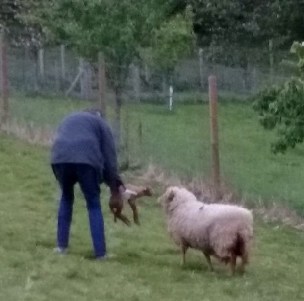 73F66828-1218-4455-9BC7-9C9D619FDEE1