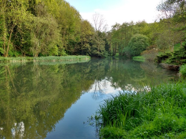 746624D0-AB01-4653-AA35-47D5F22B7259