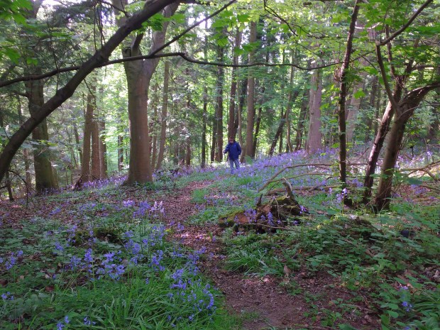 81B949C1-6332-4544-9865-EDB88158B7A1