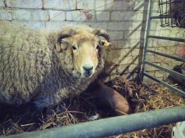 88446BC1-9CB6-4200-A041-61CB4F2975F4