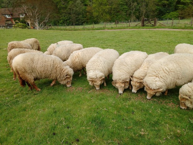 E283828E-B927-4458-9FD8-75BDF78F1086