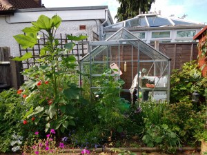 IMG_20170805_092932281-1