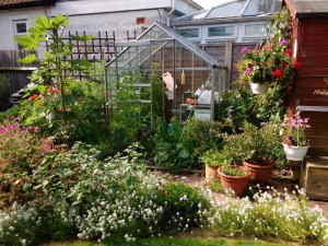 IMG_20170805_093011179