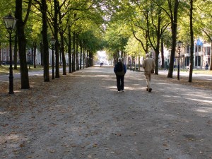 IMG_20170921_142927354