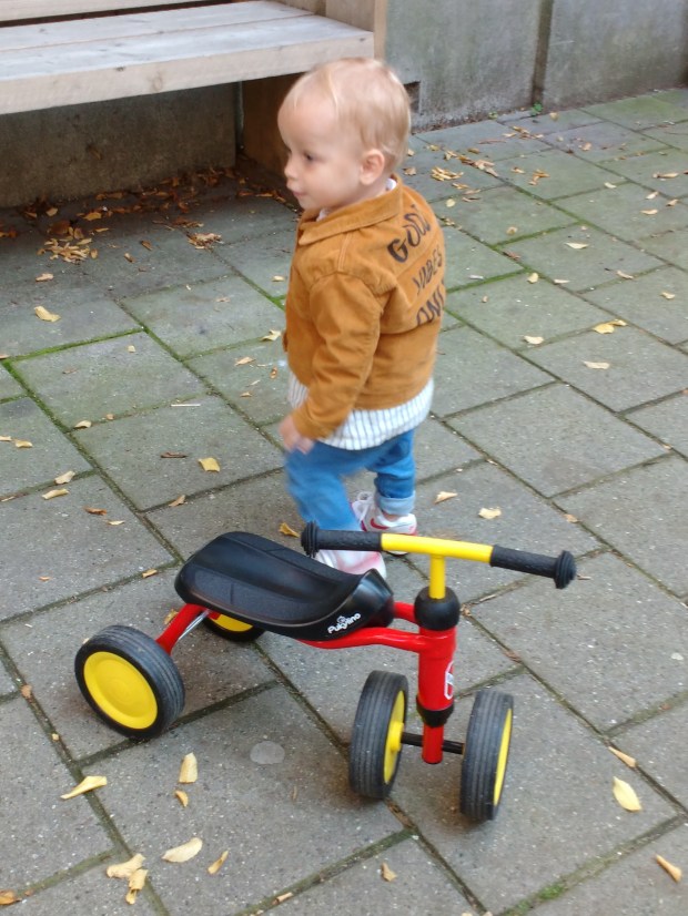 IMG_20170923_110258684