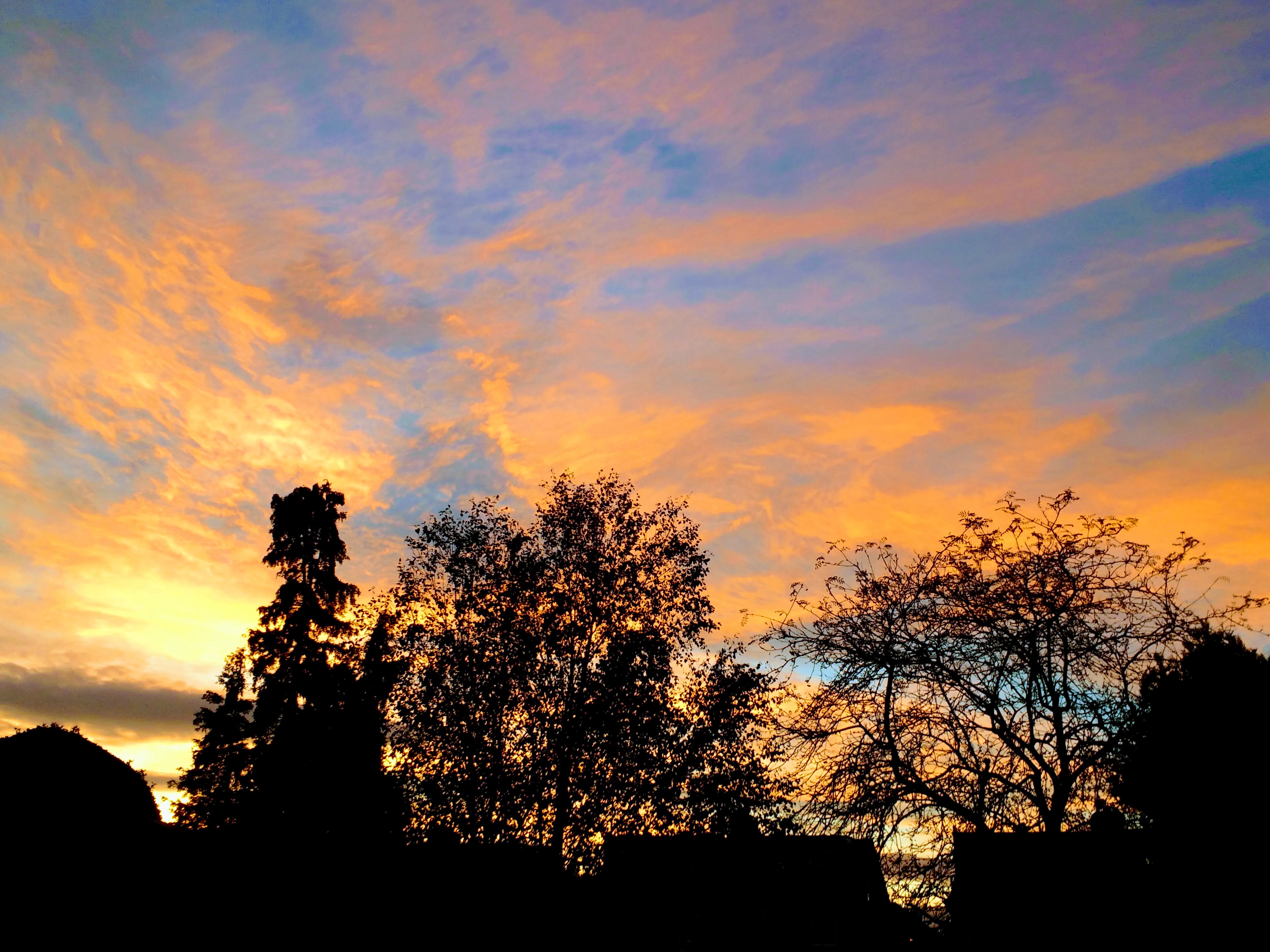 IMG_20171028_175350005-EFFECTS